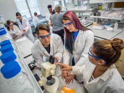 Students working in lab equipment in a lab.